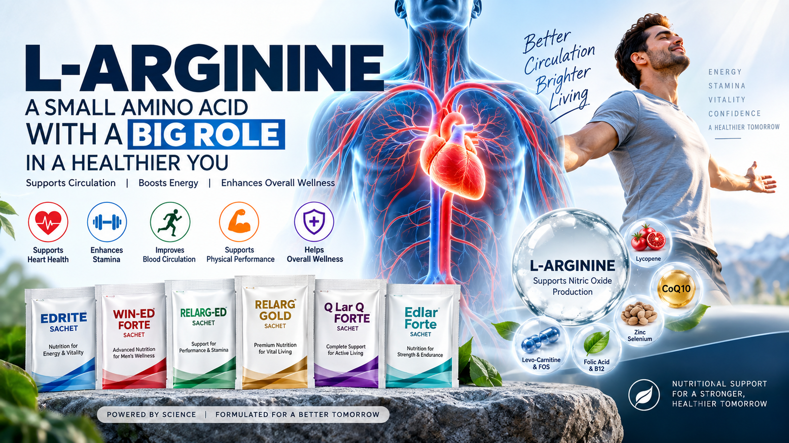 L-Arginine Role in Human Body